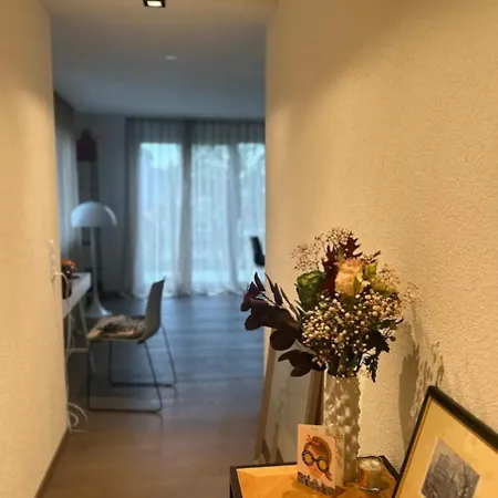 Cozy In Zurich